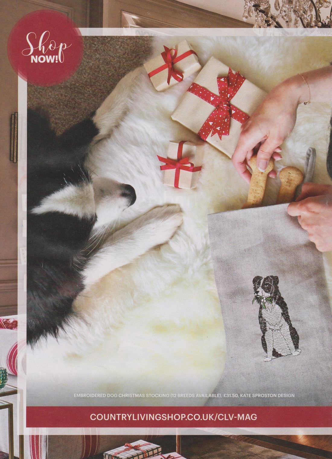 Country Living Magazine November 2025